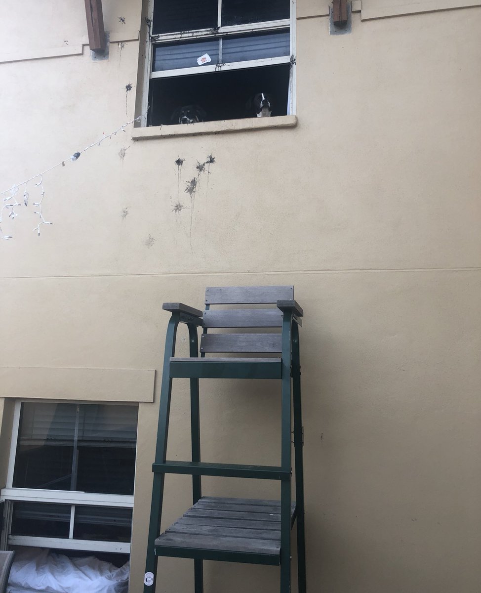 USF Sigma Nu tweet media