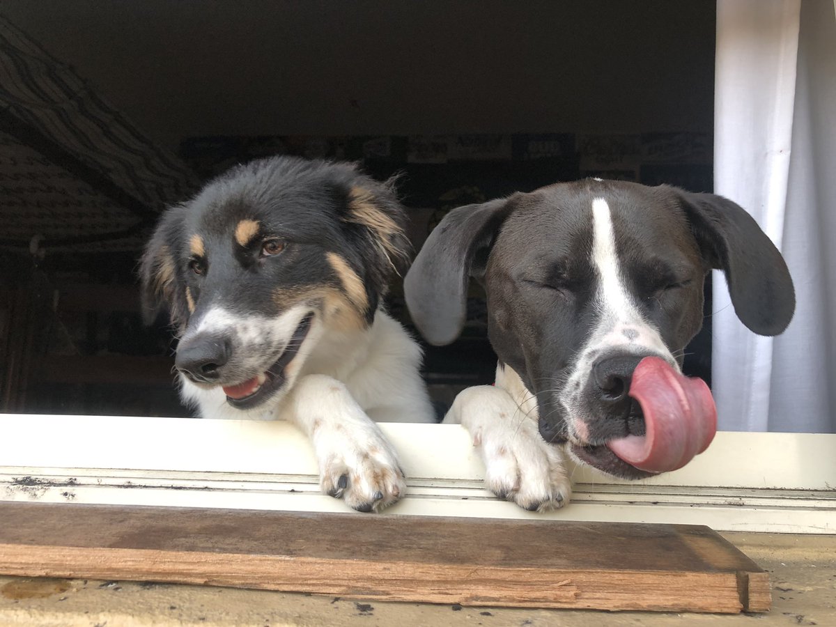 Hired some extra security