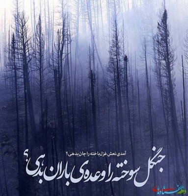 خسته (@kian_kia) on Twitter photo 