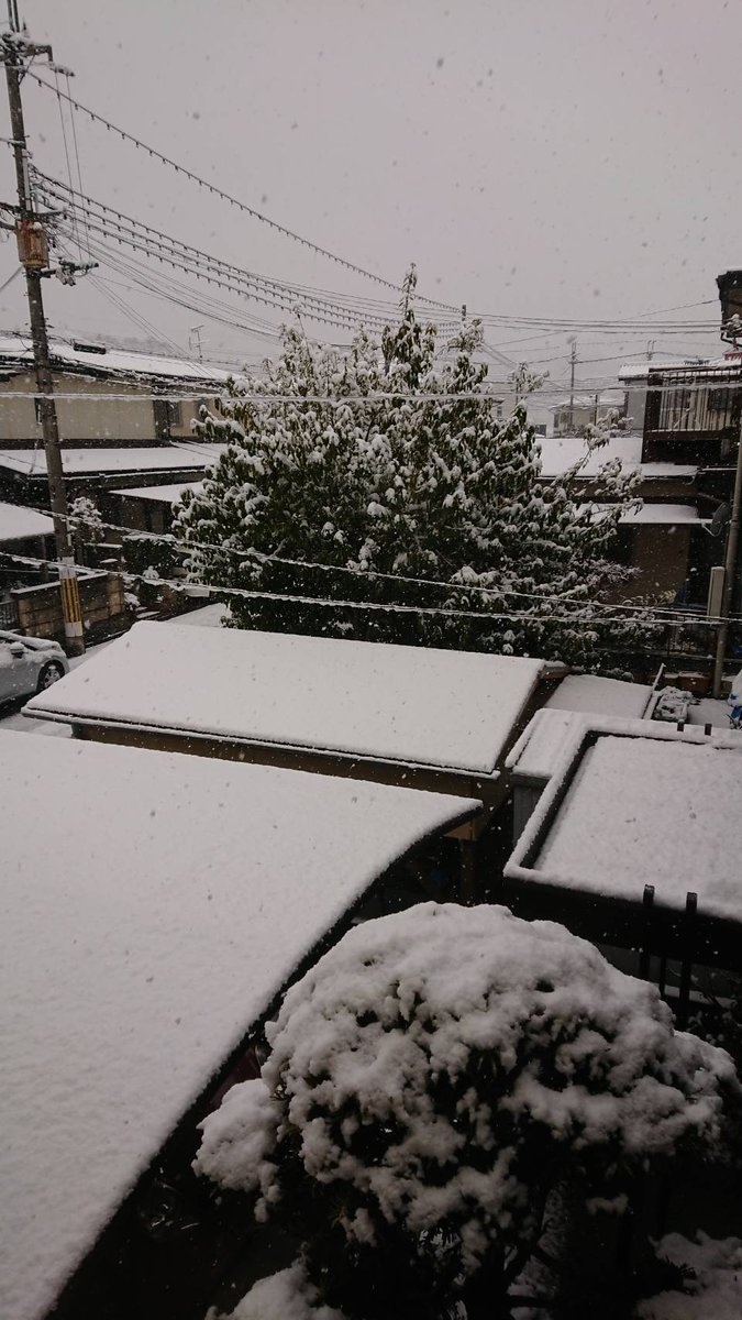 rei__west's tweet photo. 雪~~~~~~~❄❄❄❄ https://t.co/elH2nuUobc