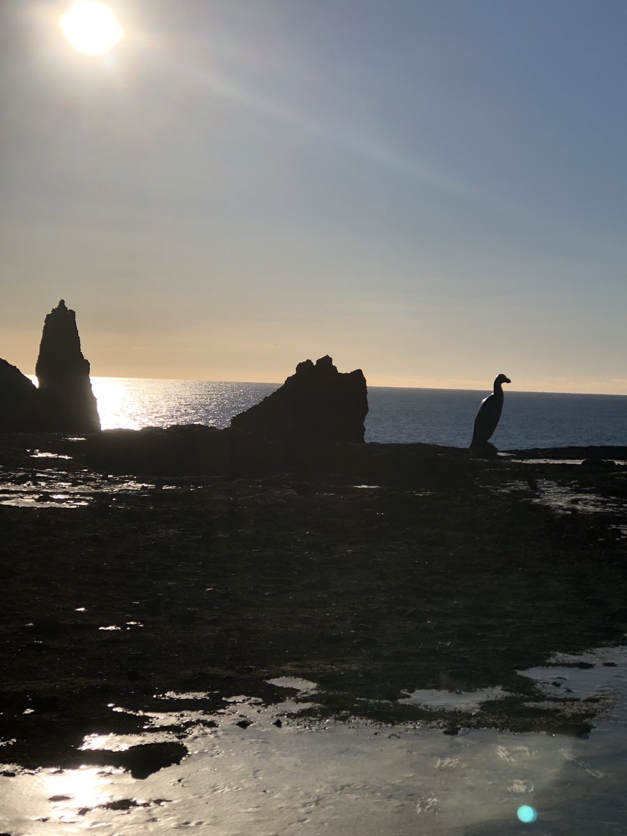 geography_fhs's tweet photo. A fun packed day visiting a tectonic plate boundary, hot springs, a lighthouse and a naturally heated pool. Some of the boys even braved the ‘ice bucket’ dip! Everyone asleep now, ready for day three tomorrow🌋🏔❄️ https://t.co/f5wEanBKV0