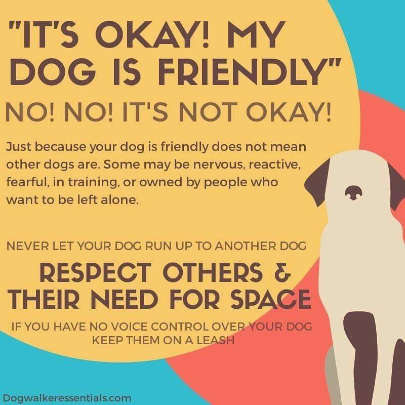 please leash your dog