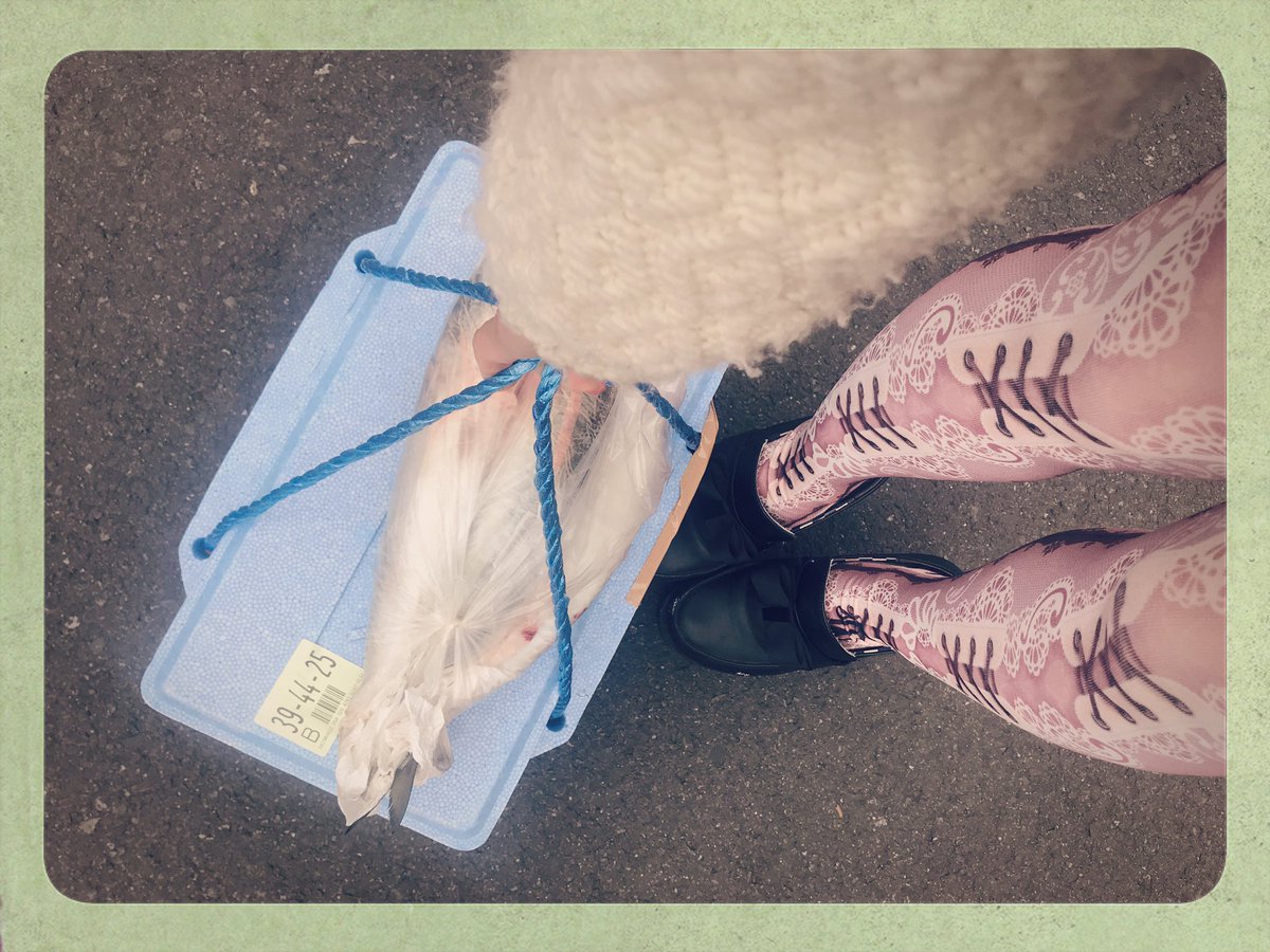 st_akinori's tweet photo. 大量過ぎて、用意されていた発泡スチロールの御箱に入りきらない事件。。

#fish #鮮魚 #abilletage
#corsettights #designtights https://t.co/ICz6IQPaxD