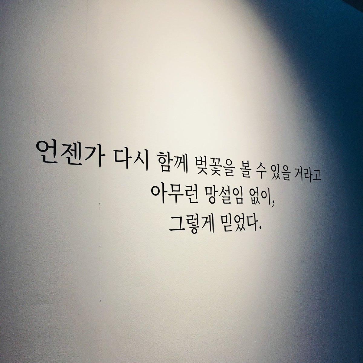 오늘은 2월 11일 월요일!! #신카이마코토전 휴관합니다. 이용에 참고해 주세요~ #신카이마코토 #벡스코 #날씨의아이 #너의이름은. #언어의정원 #초속5...