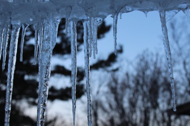 Surrey Schools tweet media