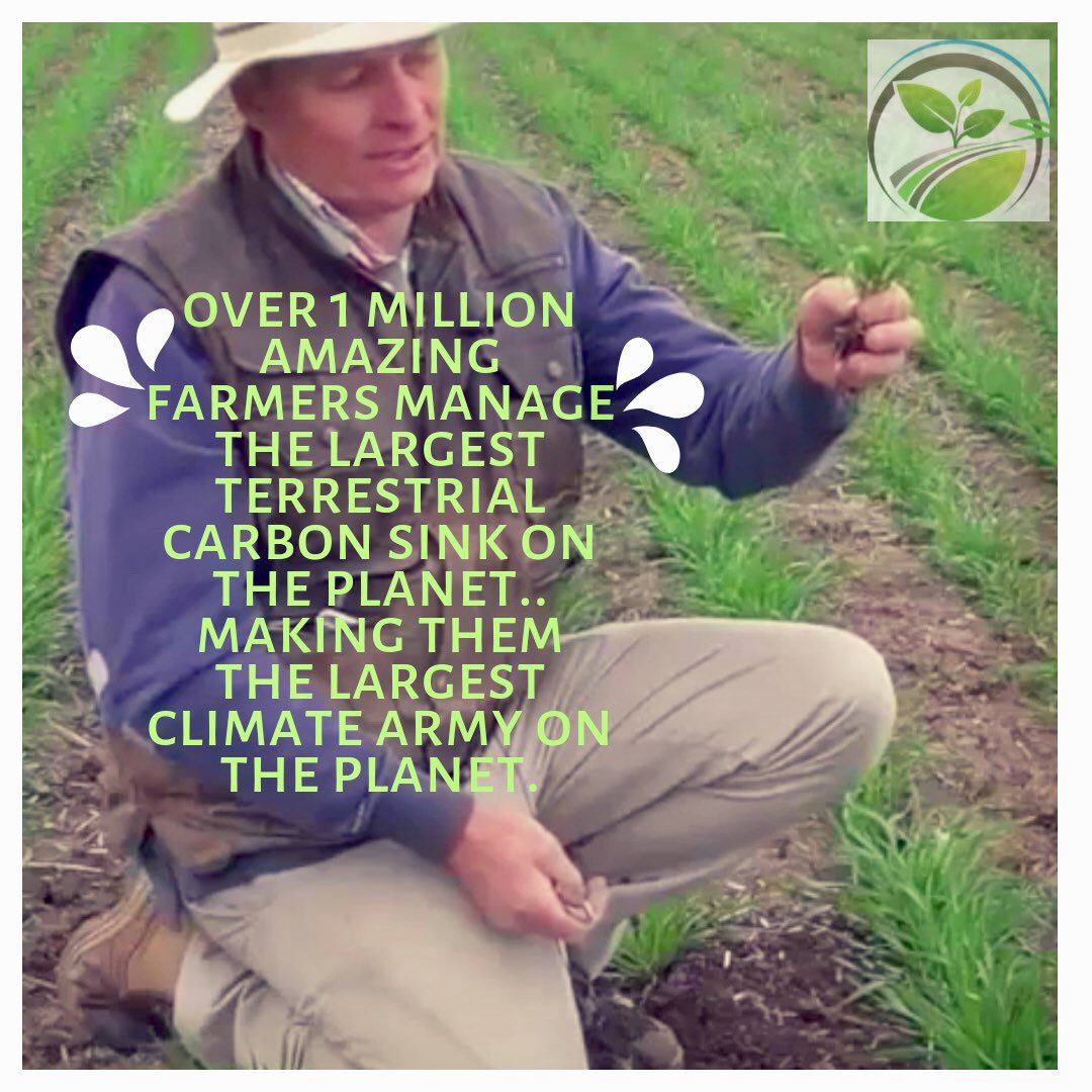 Farmers manage the largest terrestrial carbon sink on the planet, making them the largest climate army on the planet. @GrassrootsDoco @kcurveprize @AustralianStory @abclandline