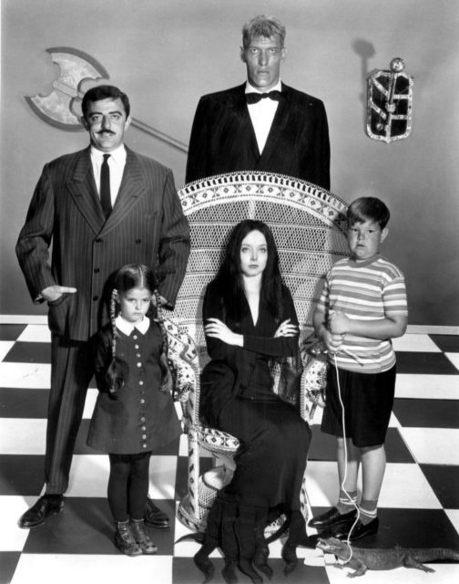 julianaayres's tweet photo. A cadeira pavão, ñ é apenas um acessório de moda.. mto antes d ser símbolo do candomblé, a cadeira ganhou seu lugar na história (filmes, fotos famosas, programas de humor.), até o Chico Anysio usava em seu programa, vejam só, c/ baianas do lado dele!
#Doshow50 #DonataMeirelles https://t.co/fwazHtdnqn