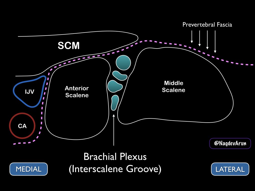 Arun Nagdev tweet media