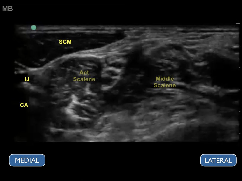 Arun Nagdev tweet media