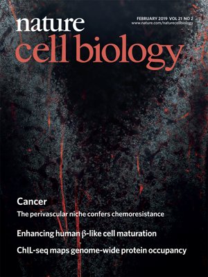 NatureCellBio's tweet photo. Our new issue is out! The February edition of @NatureCellBio has #chemotherapy &amp; #extracellularvesicles, method for #betacell generation, #methylation&amp; #cancersignalling, #ChIPseq method and more. Read it here https://t.co/nmU4ZM1iHI https://t.co/PNjVzq3Zl4