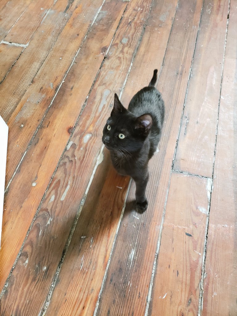 She's getting real big.1/21 vs. 2/10