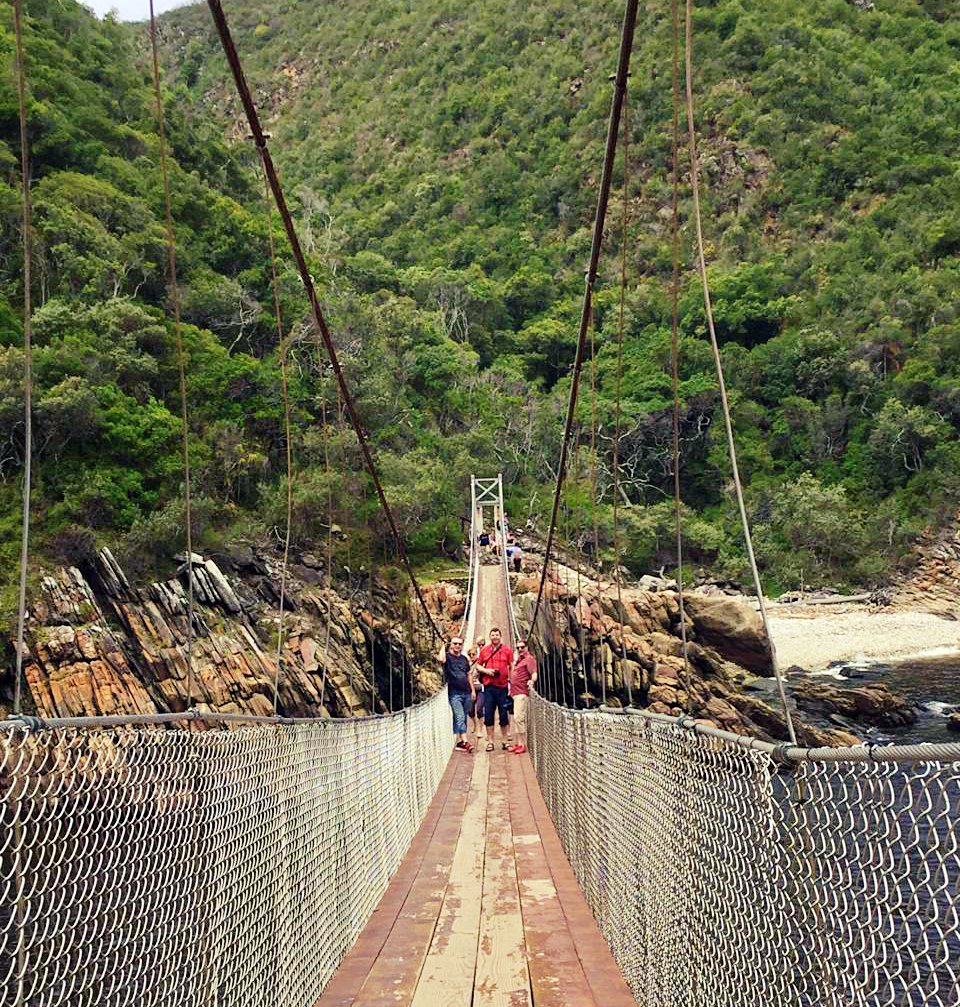 Agetaways1's tweet photo. Ein paar Eindrücke vom Wochenende 🌴🌊☀ #agetawaysontour #gardenroute #tsitsikamma #tsitsikammanationalpark #privatetours #gardenroutetours #guidedtours https://t.co/a52Hz7CeEt