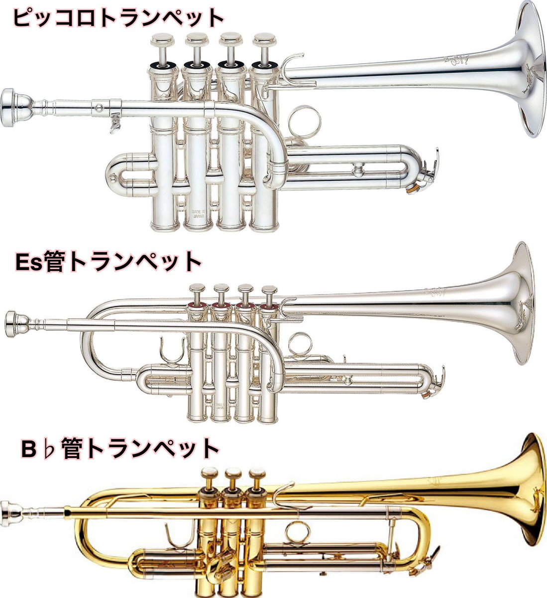 活動歴および当時の関連ビジュアル記録