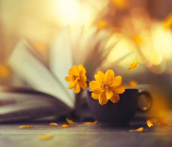 Honesty is harder than intelligence, because intelligence is natural, and honesty is an option.
#messages #optimistic #LunarNewYear #effort #opportunities #travel #Vietnobletours #honesty #intelligence