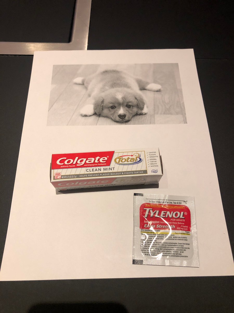 _MikeMatthews_'s tweet image. Incredible #CustomerService: Ryan from @Loews_Hotels had this waiting for me at the front desk. After checking in I was sent a text asking if I needed anything for my room. I text replied, "...do you sell toothpaste, Tylenol and puppies? I want a puppy." I will be staying again.