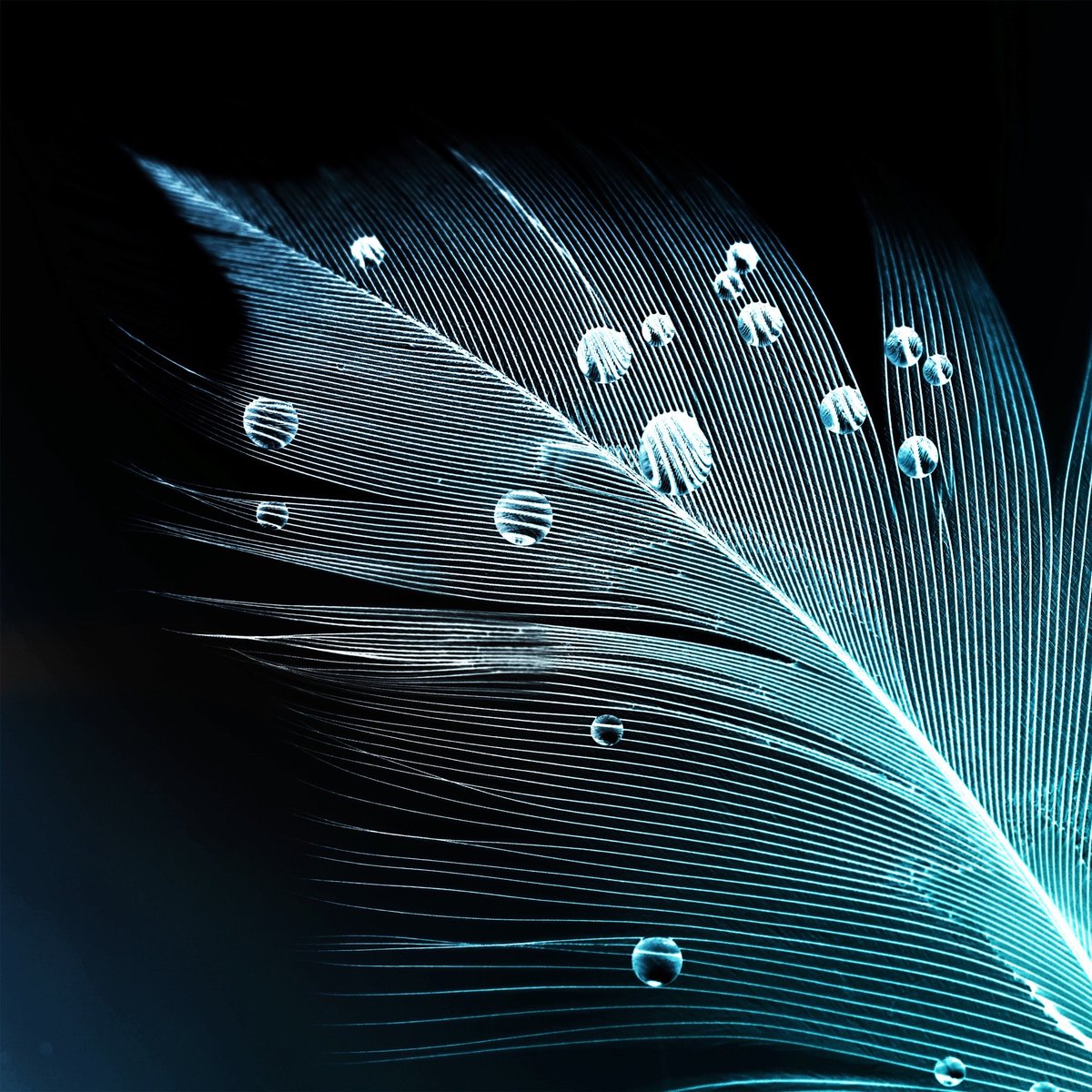 everpix on Twitter: everpix on Twitter: