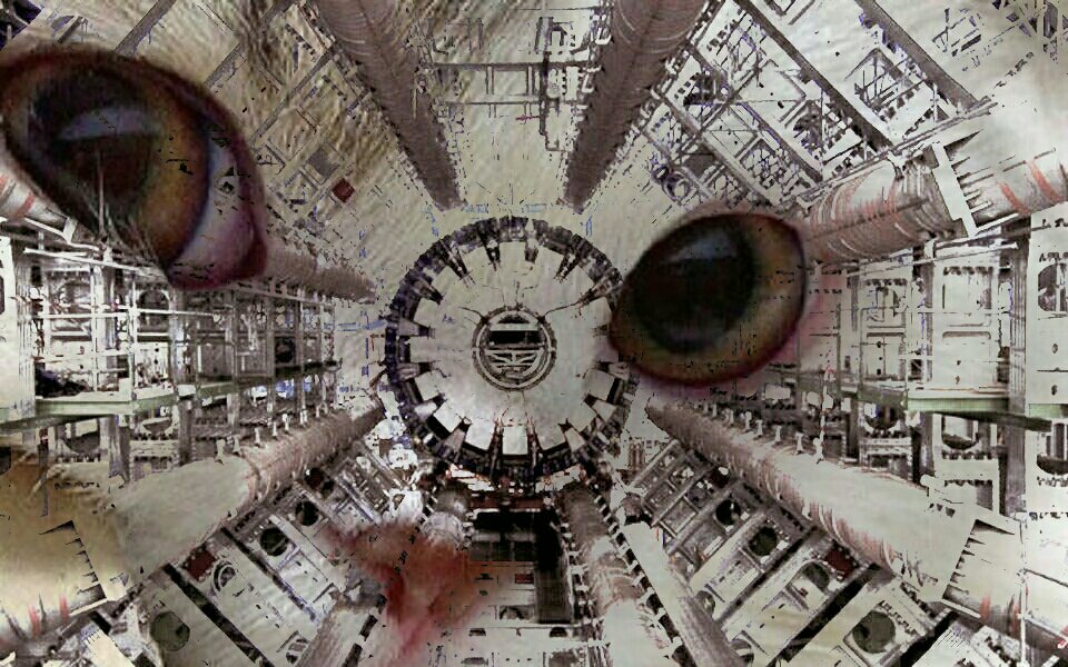 CERNcat's tweet image. #cerncat #cern #cats #catsofcern #purr4cern #quantumphysics #catsOfTwitter #catstagram #catsofinstagram #cats_of_instagram #catsofworld #gatos #gatosdecern #gatosdeinstagram #gatosdelmundo #instacat #instakitten #instacats #instakittens #purr