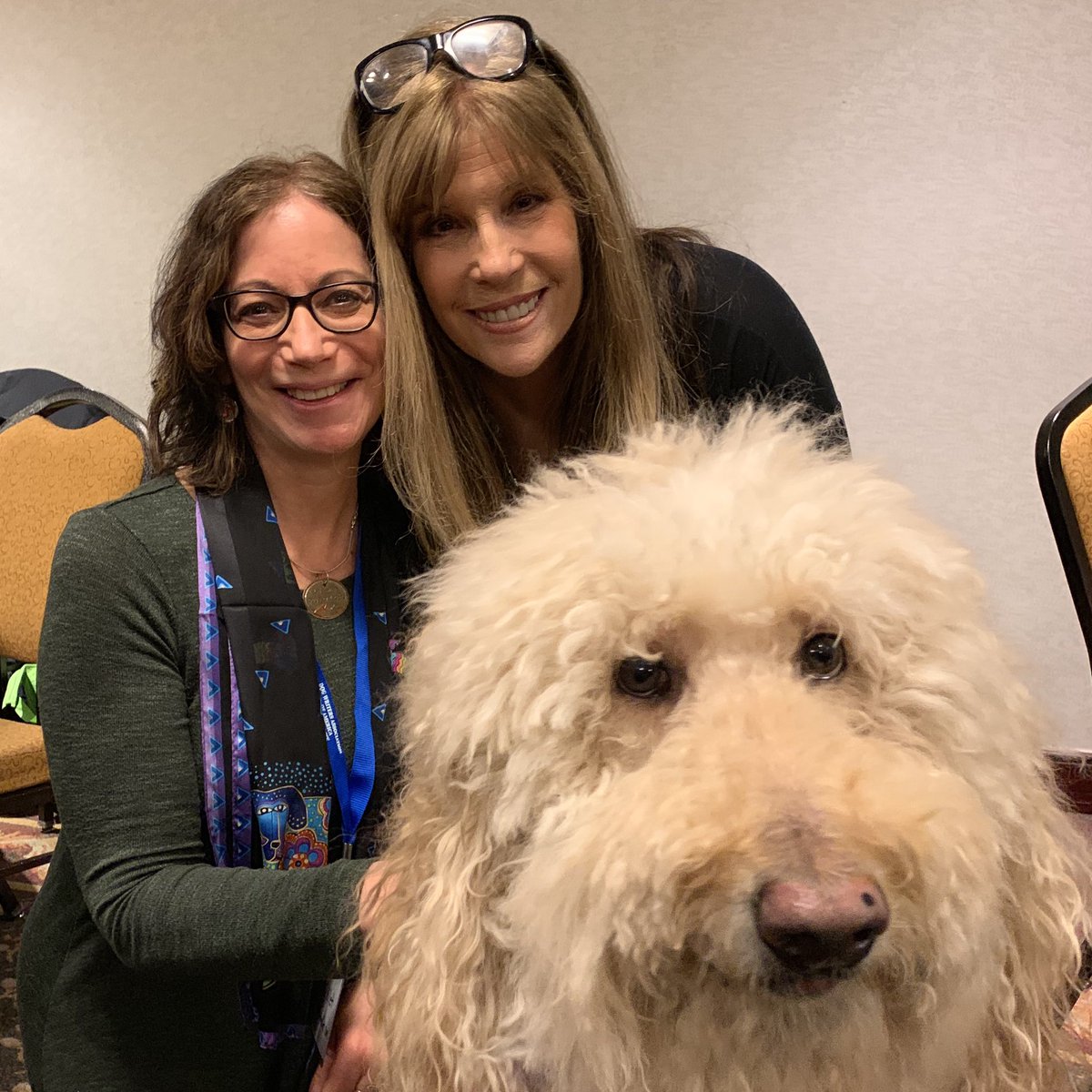 SusanCWillett's tweet photo. With @JillRappaport and her #rescuedog Stanley at the #DWAA award banquet. A great time celebrating the best in #writing and dogs! #amwriting #aboutdogs #dogwriters https://t.co/hlK12l1Z0Z