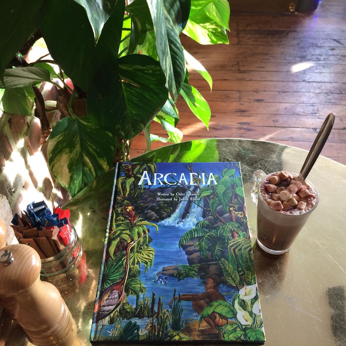 N8Elsie's tweet image. Arcadia , this beautiful book is in the cafe for children to read , learn about environment , Africa and climate #arcadiastorybook #climatelearning #Africa #Environment #afterschool #cafe #hornsey #n8 #london