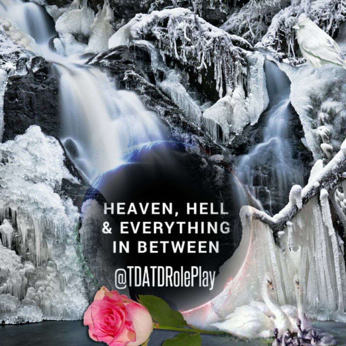 MidniteCovenant's tweet photo. #LateNightShouts.... #GoodFriends...#AwesomeSL....#MustFollowNow!
@TDATDRolePlay https://t.co/fCzW6fWi48