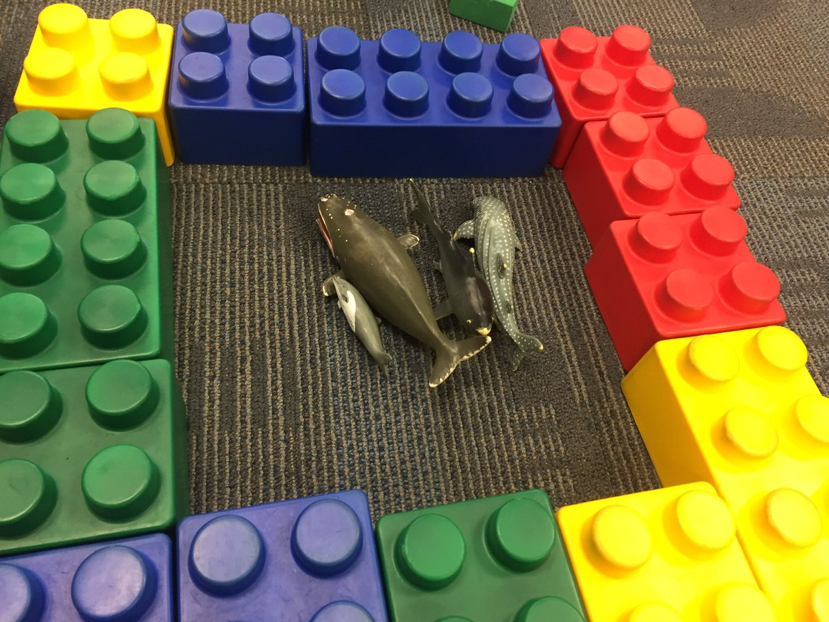 MissWolffECE's tweet photo. I have quite a few builders in my class! They used the blocks and the animals to make a zoo. They used the blue blocks to represent the water and made enclosures around groups of animals. #prek #prekindergarten #blockscenter #earlychildhood https://t.co/qFfs7aSOw7