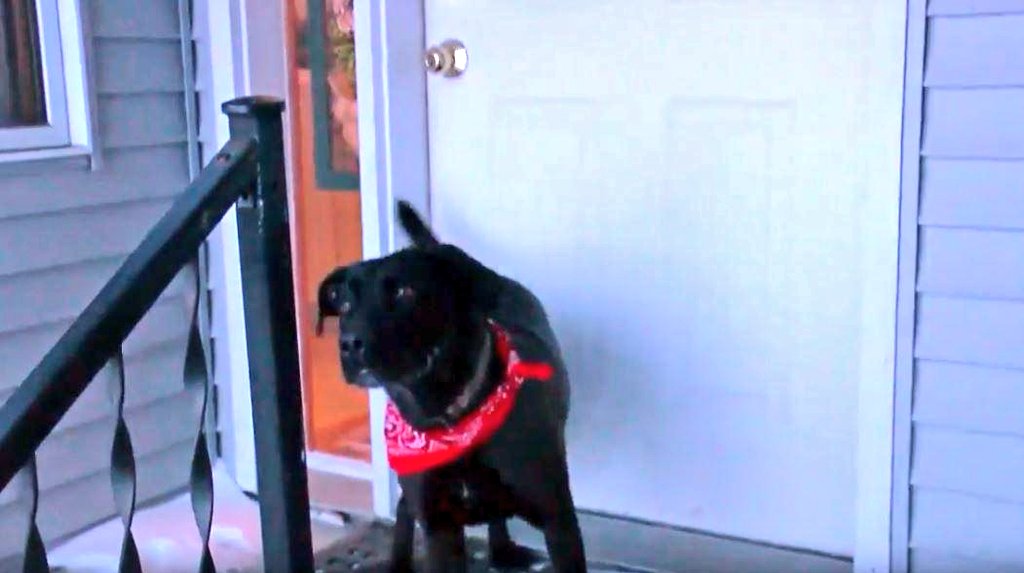 Patchadapa (Reyrai_d) Twitter