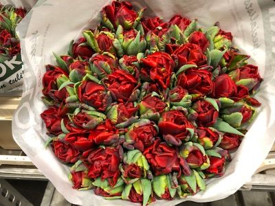 #ValentinesDay #roses #red Love is in the air !!
<a href="/barendsenexport/">Barendsen Aalsmeer</a>