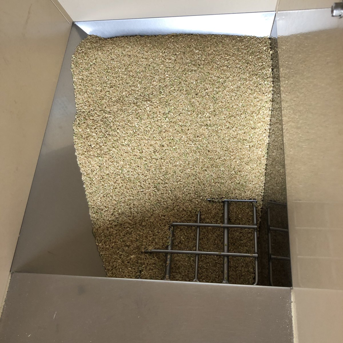 ebigen65's tweet image. 生存報告。
一応ご飯食べてます (^^;;