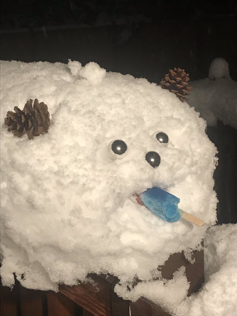 JNatterstad's tweet photo. Anyoneβs pet missing? Found this guy in our backyard and gave him a popsicle! #bringinyourpets https://t.co/a0VQcHORHQ