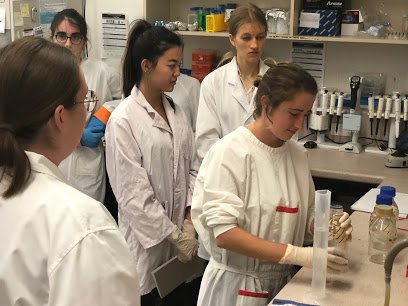 UWAMicroBlitz's tweet photo. Our inspiring female interns from the 2019 UWA Barry Marshall MicroBlitz Internship are at work in the lab to celebrate International Day of Women and Girls in Science. @UWAresearch @uwanews @ScienceUWA @MarshallCentre @Davekellymp @ChiefSciWA @LynBeazley @barjammar https://t.co/K3mtFim5Me