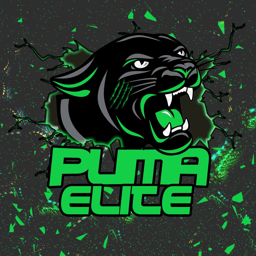 scw_furax's tweet photo. C'est un plaisir d'avoir travaillé avec @puma_elite ! 👌 https://t.co/lXbCRJxeXE
