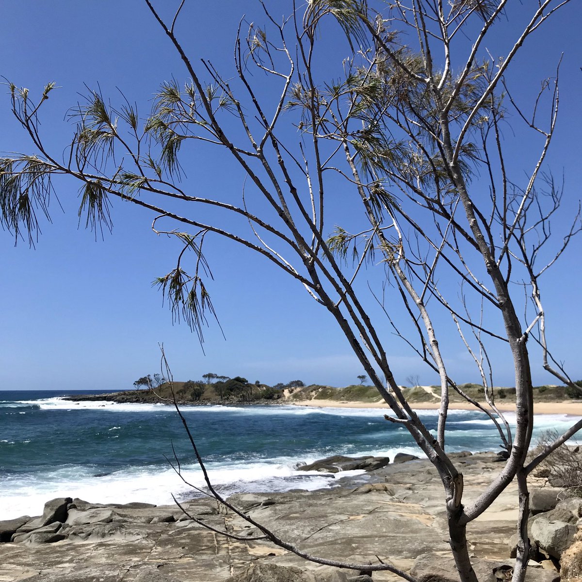 NatJCollins's tweet photo. Stayed local for this yearβs summer holiday #roadtrip #yamba #luckyaussie https://t.co/zYaRENyjci