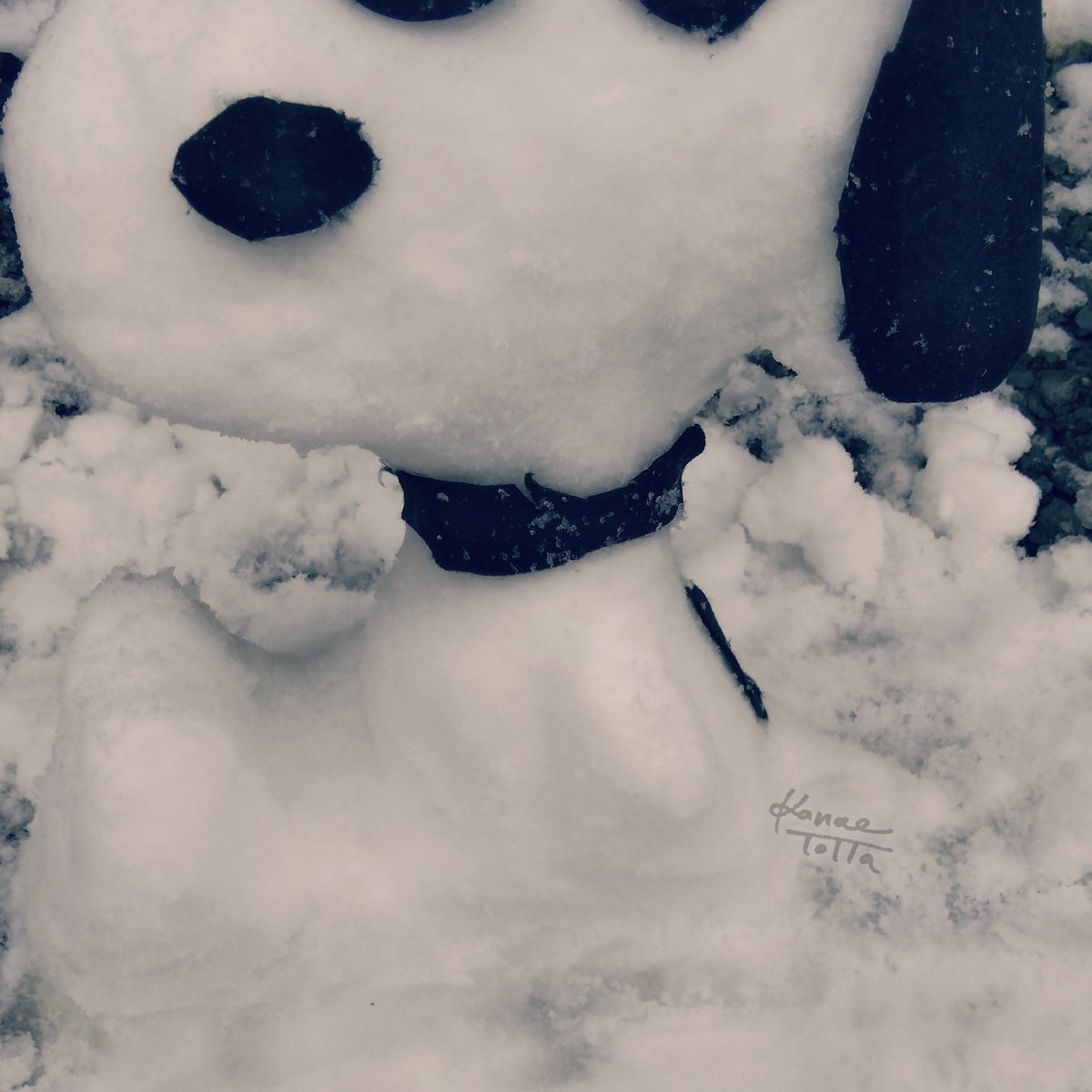 かなーぶらうん Ar Twitter 雪だるまスヌーピー 雪スヌーピー Snow Joe Cool 5年ぶりの雪あそび楽しかった Peanuts Snoopy スヌーピー 雪だるま 雪スヌーピー 雪だるまスヌーピー