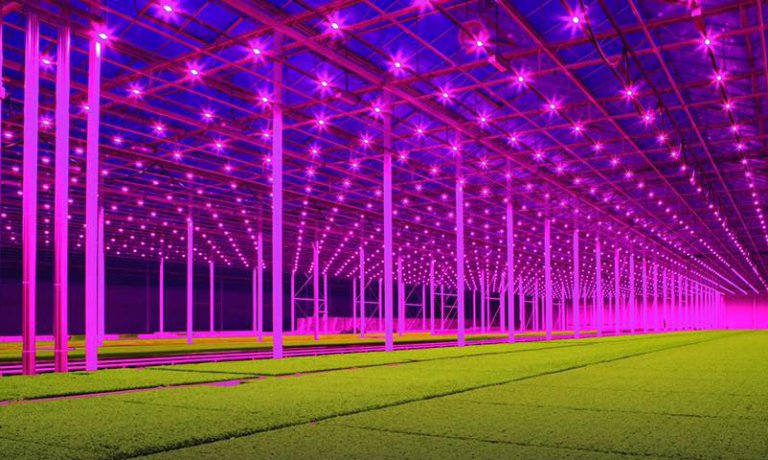 GVSTGroup's tweet image. Bella esperienza @koppertcress an #experience of #futureofevents @emec2019 #health #sustainability #FriendlyEnvent #DesignThinking @EventDesignCol