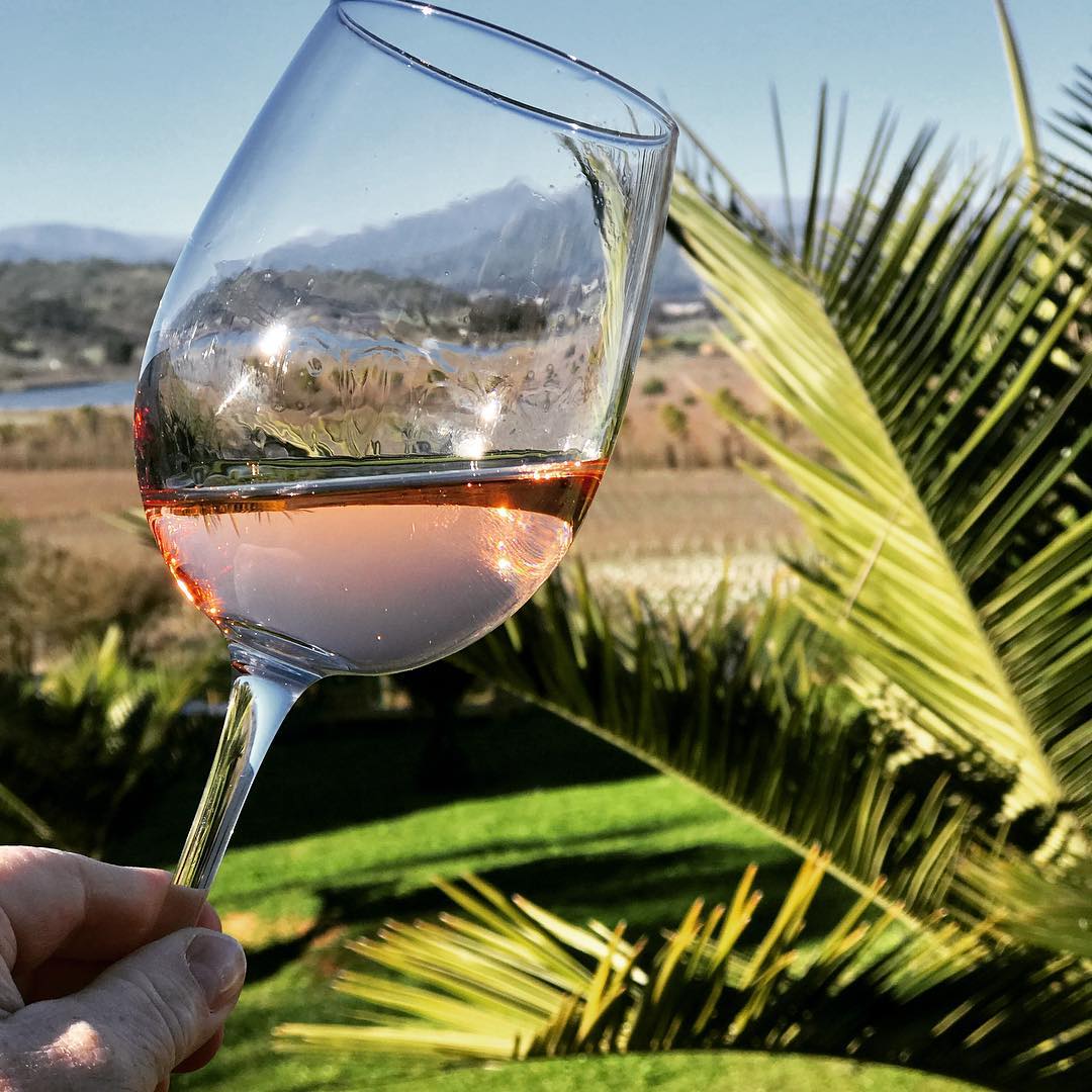 KingstonWine's tweet photo. Cheers to #ValentinesDay w/ this shot of our 2018 Rosillo #Rosé set to be released to #wineclub members in a couple of months. #drinkpink https://t.co/j94cpd8Ed5