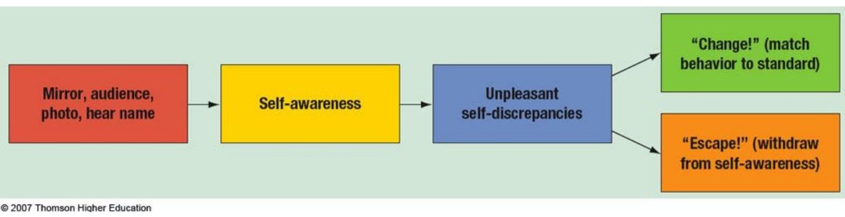 Remember this diagram I brought up earlier? If Her was the "Change!" option, then Tear is "Escape!" At this point, BTS is now aware of this false identity that they've created, but their instinct is to withdraw from their self-awareness and try to maintain their fake self.