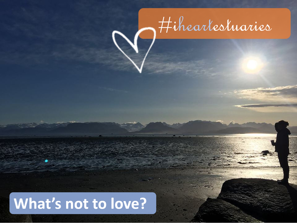 Estuaries4Life's tweet photo. The time to show your love has come. The estuaries we protect make it so EASY to love them, don’t they @KBNERR? Here are some tips to get started: https://t.co/Q5n7momHOz  
#iheartestuaries 
#KBNERR20 https://t.co/bSn11sY073