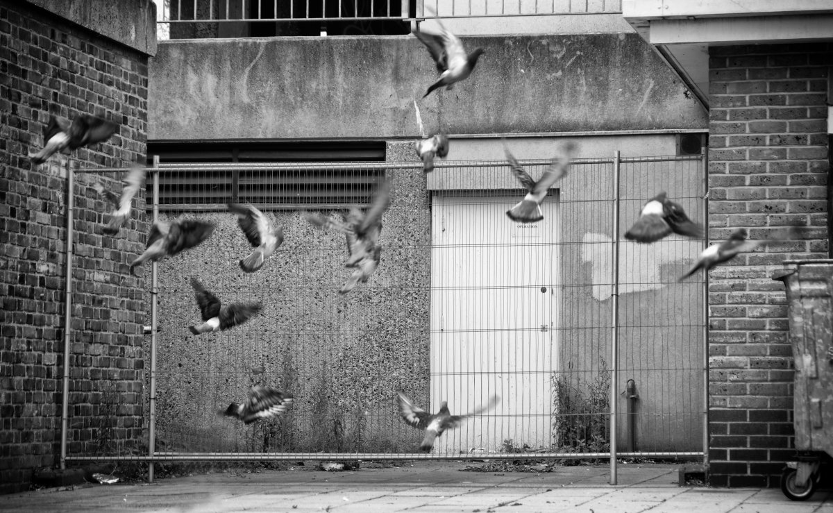 ASFFest's tweet image. "To be selected for ASFF is a testament to creating good film." – @gorodecky, Best British Short Film nominee @londoncritics and @LSFF award-winner. Submit your work: aestheti.cc/35lvu