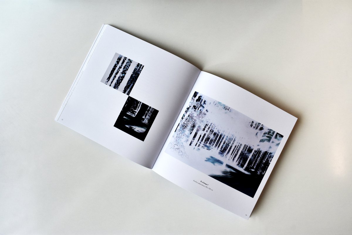 CulturaUsj's tweet photo. Os mostramos algunas imágenes del libro-catálogo «Blanco 17/18», que reúne el trabajo de los artistas que durante el pasado curso académico participaron en Espacio en blanco. ¡Gracias por hacerlo posible! @clariiiin @MerBellido #SylviaPennings #AlejandroMonge #DavidLatorre https://t.co/nZkfzPkRbB