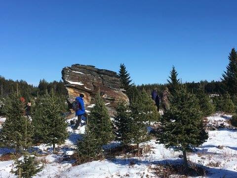 Hike Nova Scotia tweet media