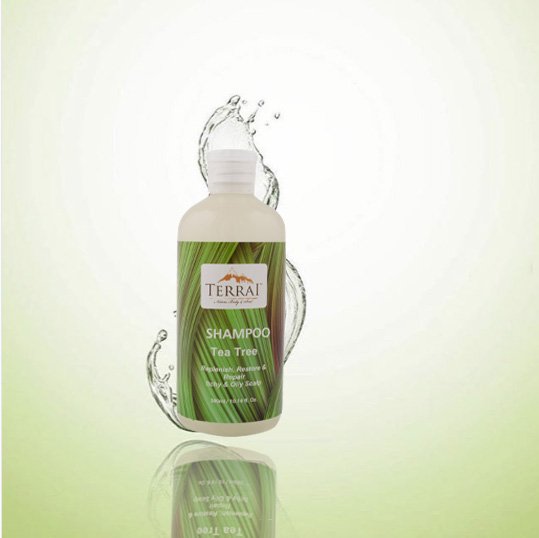 Terrai_Natural's tweet photo. Terrai shampoos not only enliven the senses but also relax the body and mind. Just the right thing for the beginning of Spring...
Shop Now @MyNykaa Link - https://t.co/9ufV9IGbNk
#terrainaturalproducts #shampoo #hairshampoo #greenteashampoo #nykaa #MondayMotivation #PromiseDay https://t.co/cVzBnZiUdK