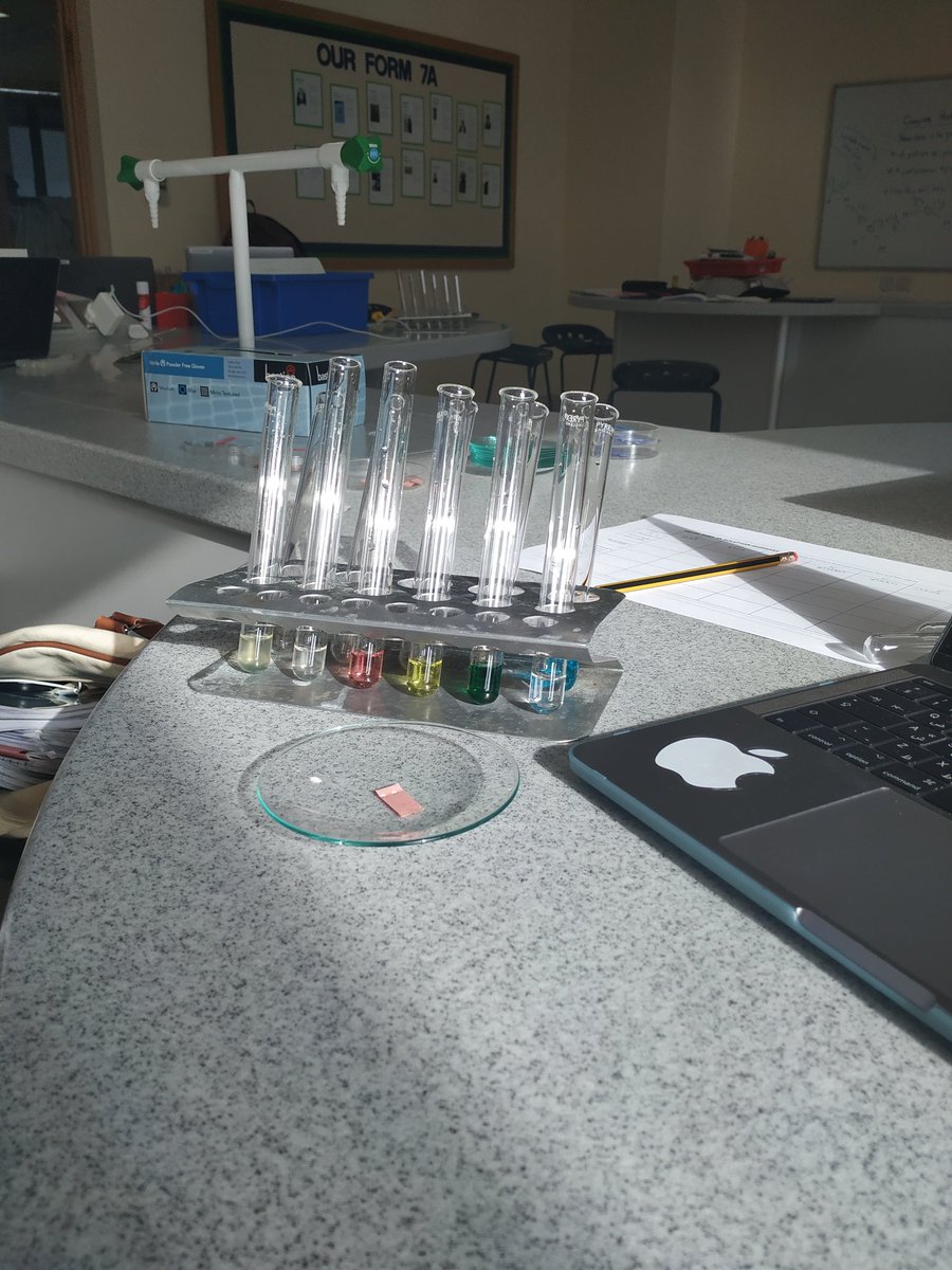 Kings' Al Barsha Sci tweet media