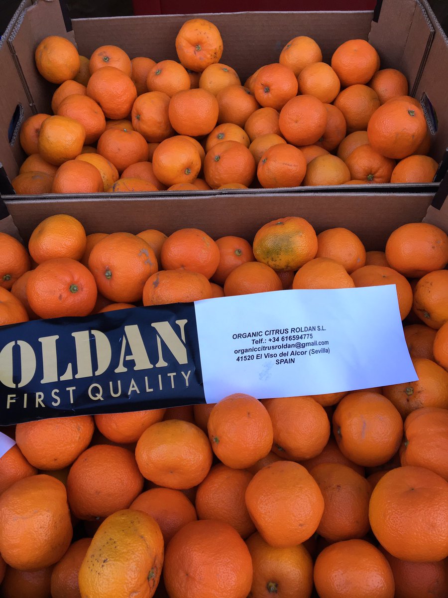 Organic spainish marmalade oranges £7 per 18kg box <a href="/hallsgreengroce/">Halls Greengrocers</a> <a href="/HolcombeMarket/">Holcombe Market</a> #oranges #marmalade