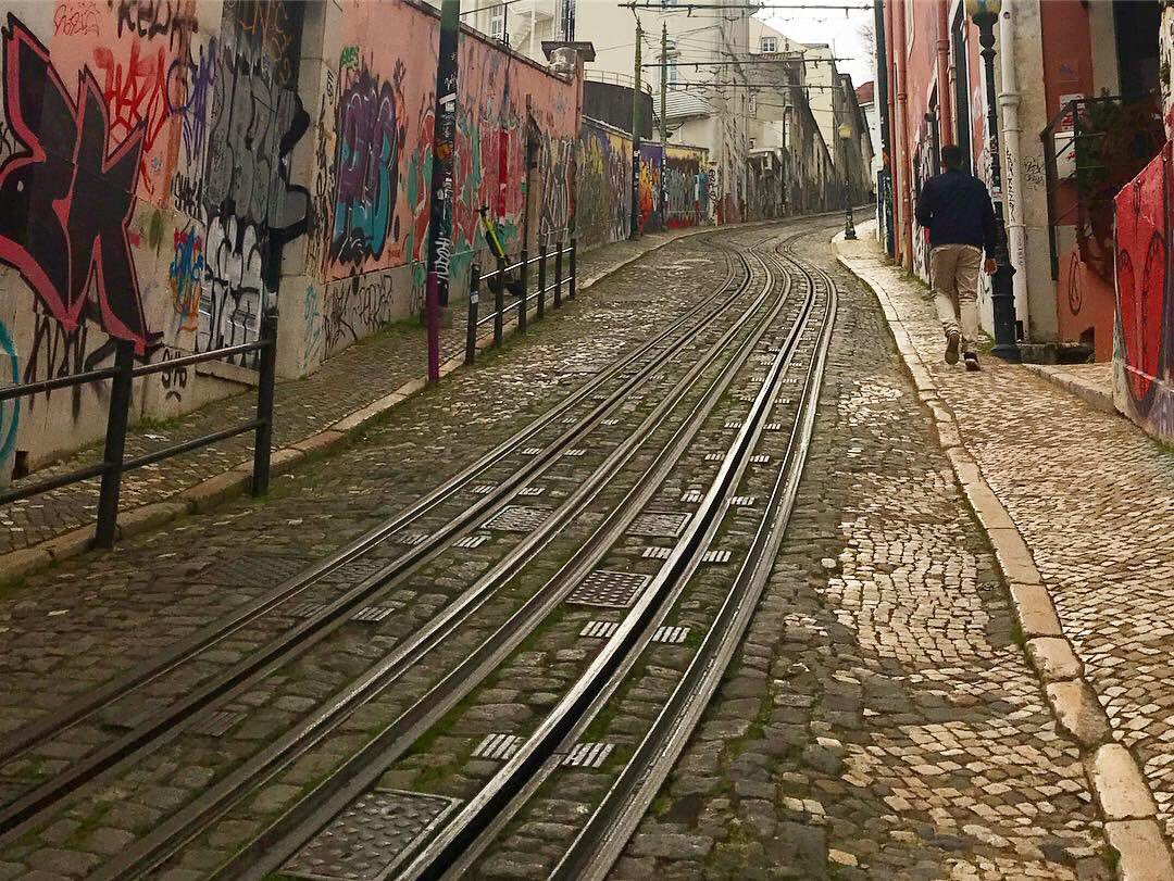 Selz_4's tweet photo. 8 - 10.02.19
Scorci meravigliosi,
colori in ogni angolo,
azulejos da perderci alla testa.

Lisbona insegna che 
ad una salita
segue sempre un.. ‘altra salita.

Partners in travel 💛
@GiuliaGandelli https://t.co/mAZqrZXygj