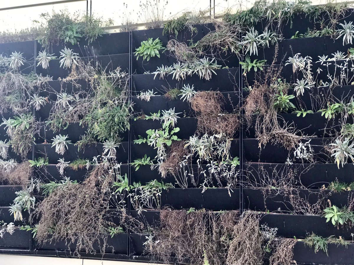 LeanneWood's tweet image. Diolch am y croeso @info_specific / had a very interesting meeting last week at @SwanseaUni’s #ActiveClassroom &amp;amp; #ActiveOffice with Aled Eirug from @SUMorganAcademy. Good to get a glimpse of our potential future. #ActiveBuildings