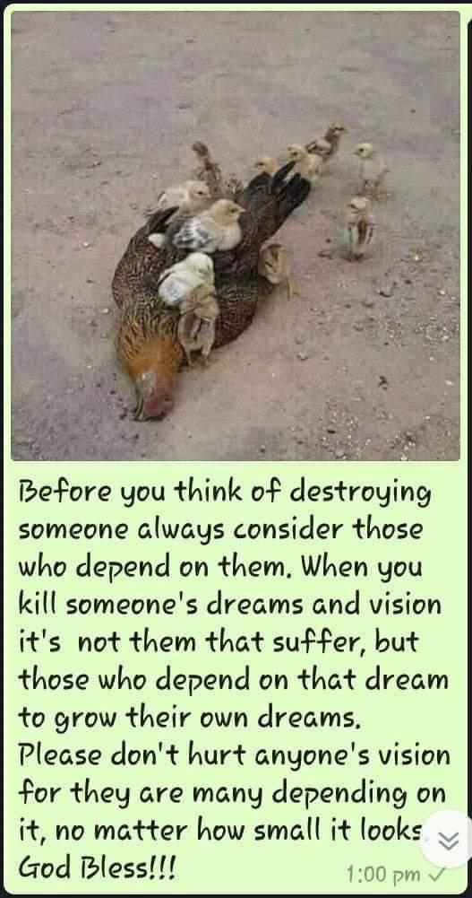 OLUDO2's tweet image. 