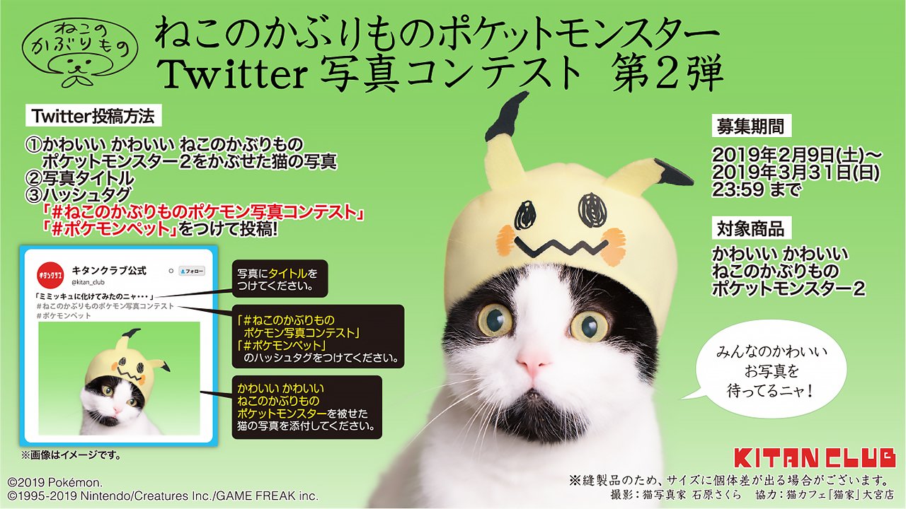 ポケモン公式ツイッター かわいい かわいい ねこのかぶりもの ポケットモンスター2 の発売を記念して 写真コンテスト第2弾を開催するよ 開催中の第1弾とあわせて どしどし応募してね くわしくはこちら T Co Gh4srxu2ha ポケモン グッズ