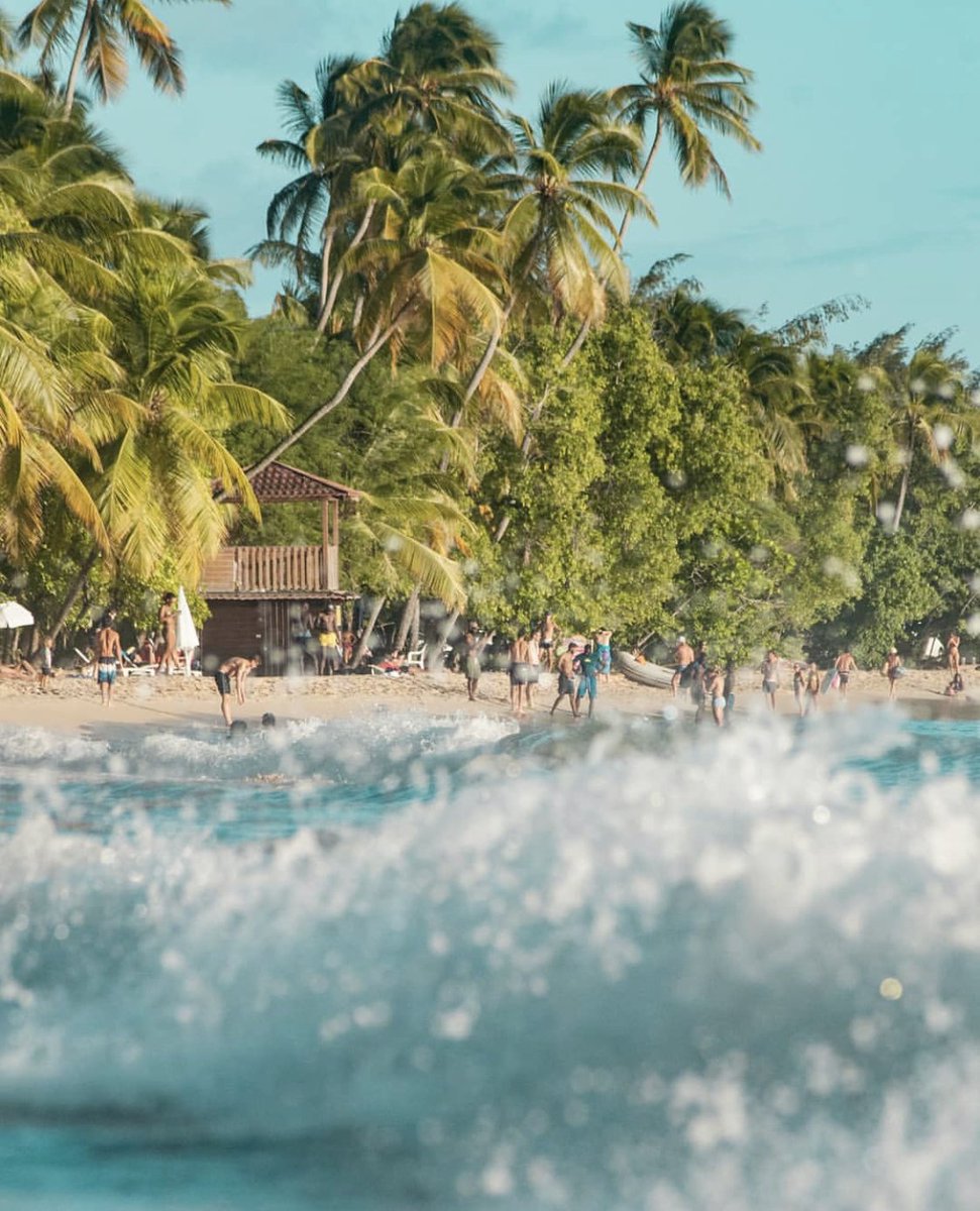 CTC_CONNECT's tweet image. On profite du soleil sur la plage des salines 🌞🌴
📸@stanlevi #repost #Plage#Saline#Martinique#vacance#detente#Beach#tropical#caraibes#paradise#nature#sea#sun