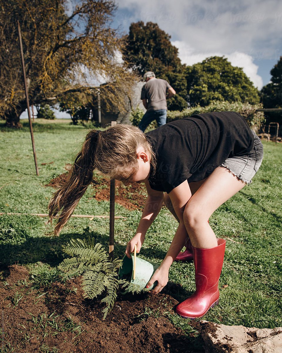 Latest licence at <a href="/StocksyUnited/">Stocksy</a> 
#stocksyunited #stocksy #stocksyphotographer #stocksyaustralia #treeplanting #environment
stocksy.com/1491658