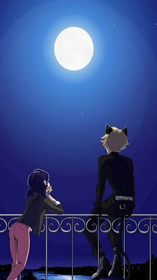маринетт и супер кот на балконе. кот блан на крыше. леди нуар miraculous. кот нуар на крыше. леди баг и супер-кот.